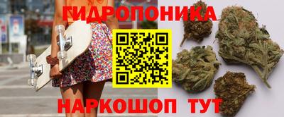 не бодяженный Шелехов